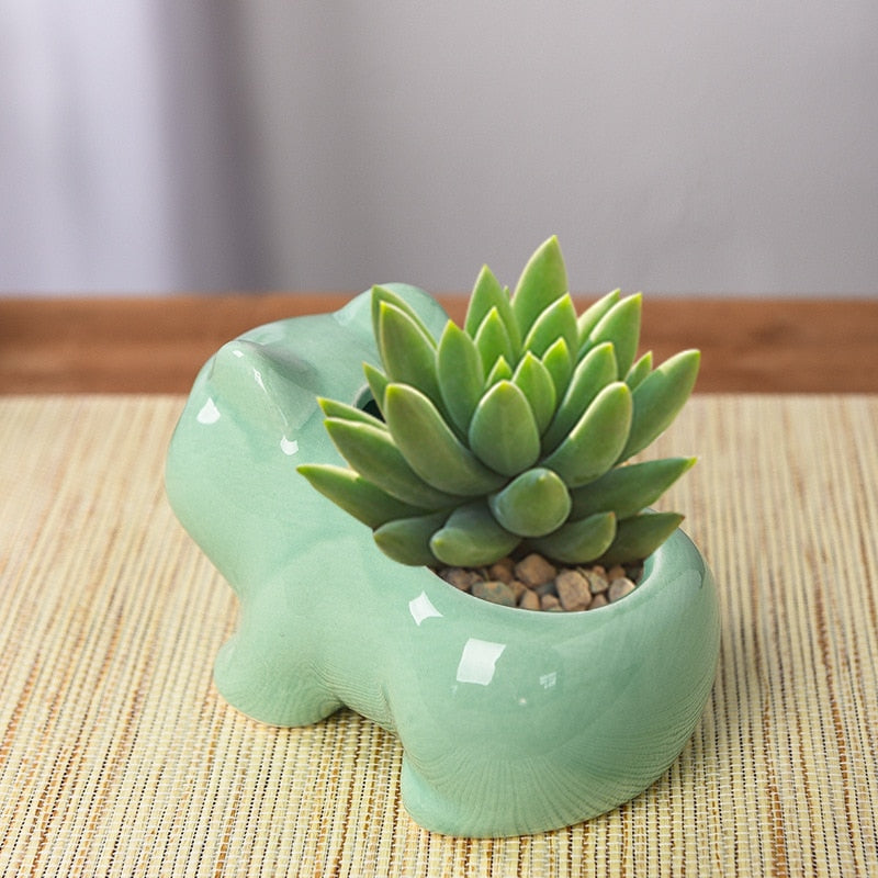 Bulbasaur Ceramic Succulent Pot