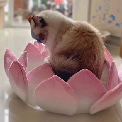 Lotus Flower Cushion