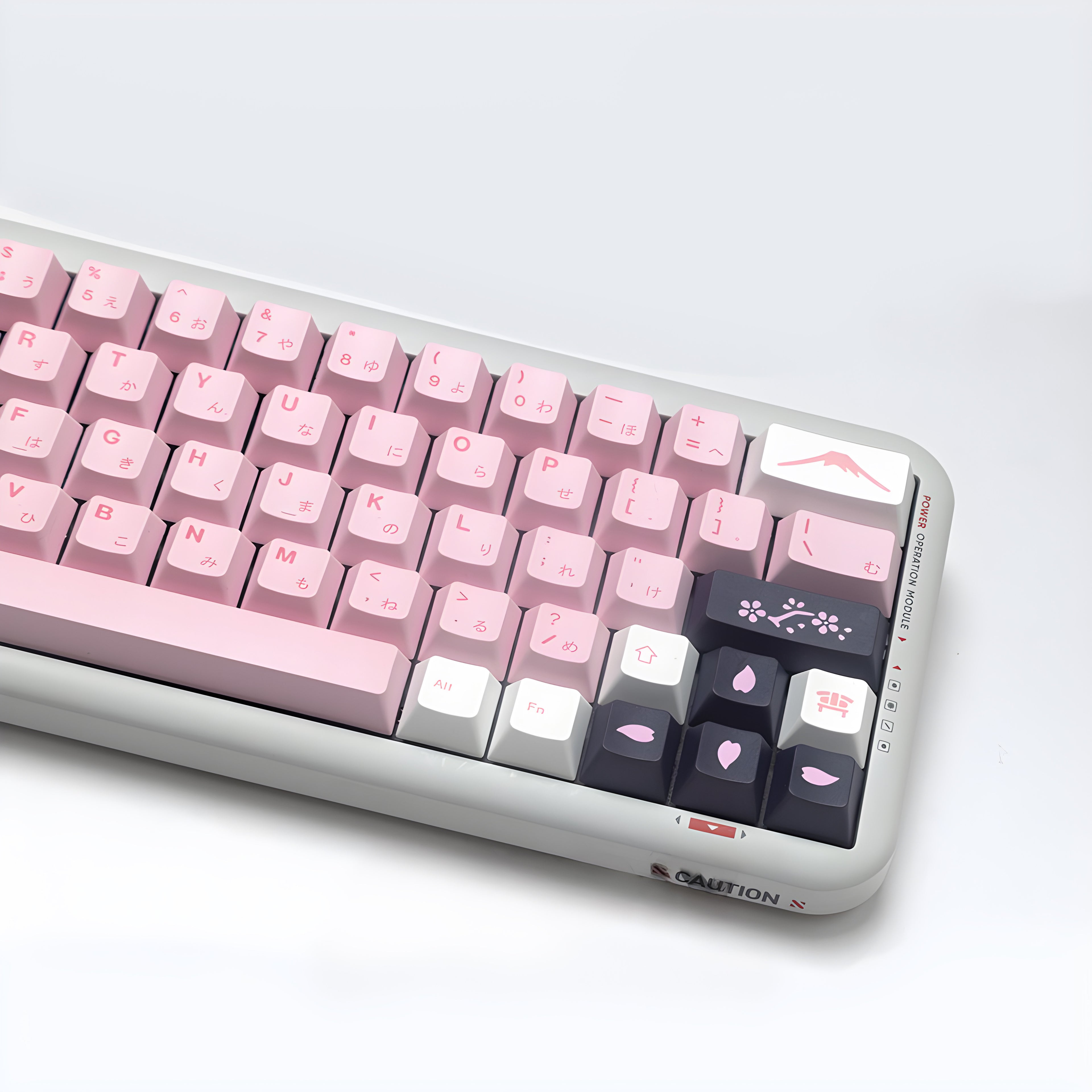 Pink Cherry Blossom Keycap Set