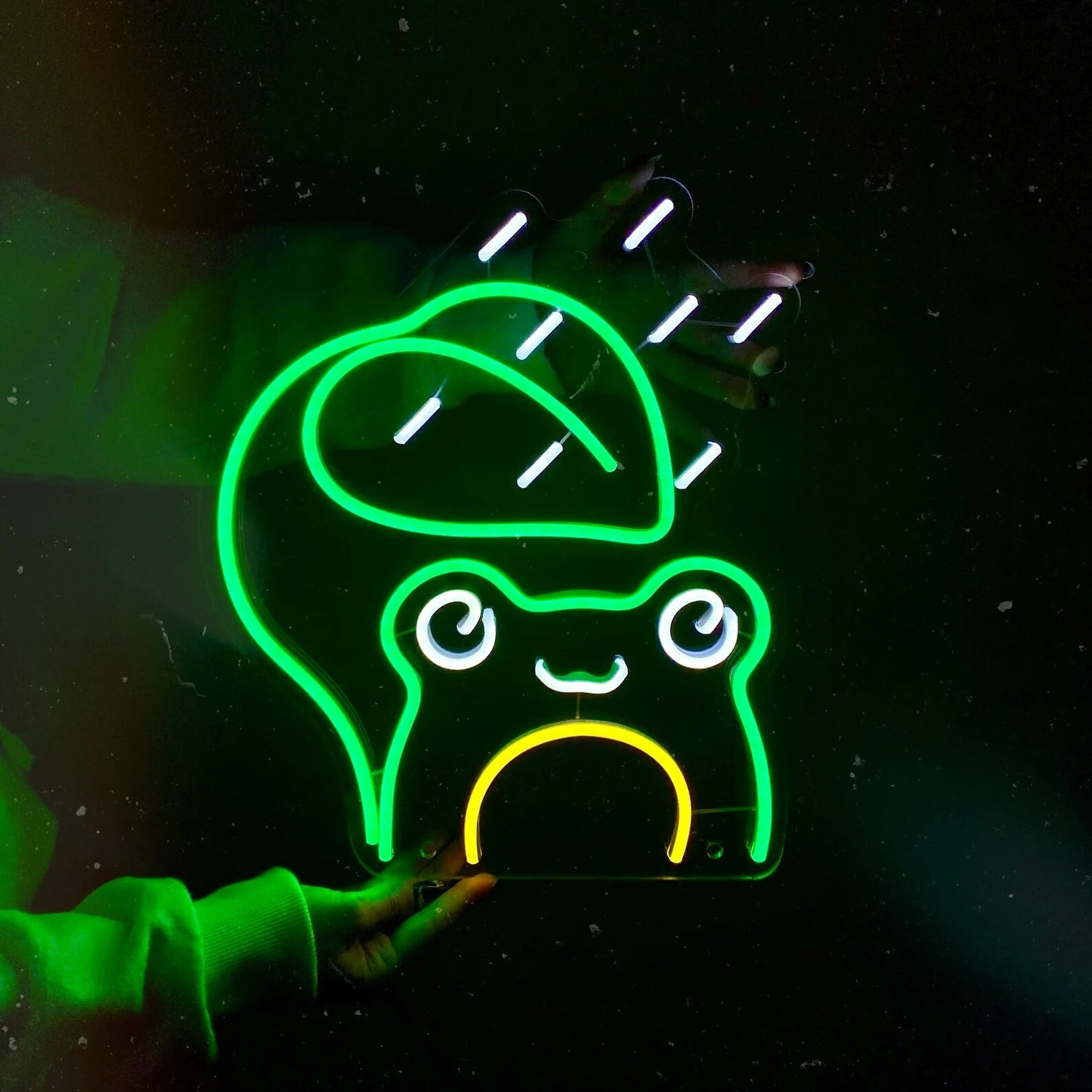 Rainy Frog Neon Sign